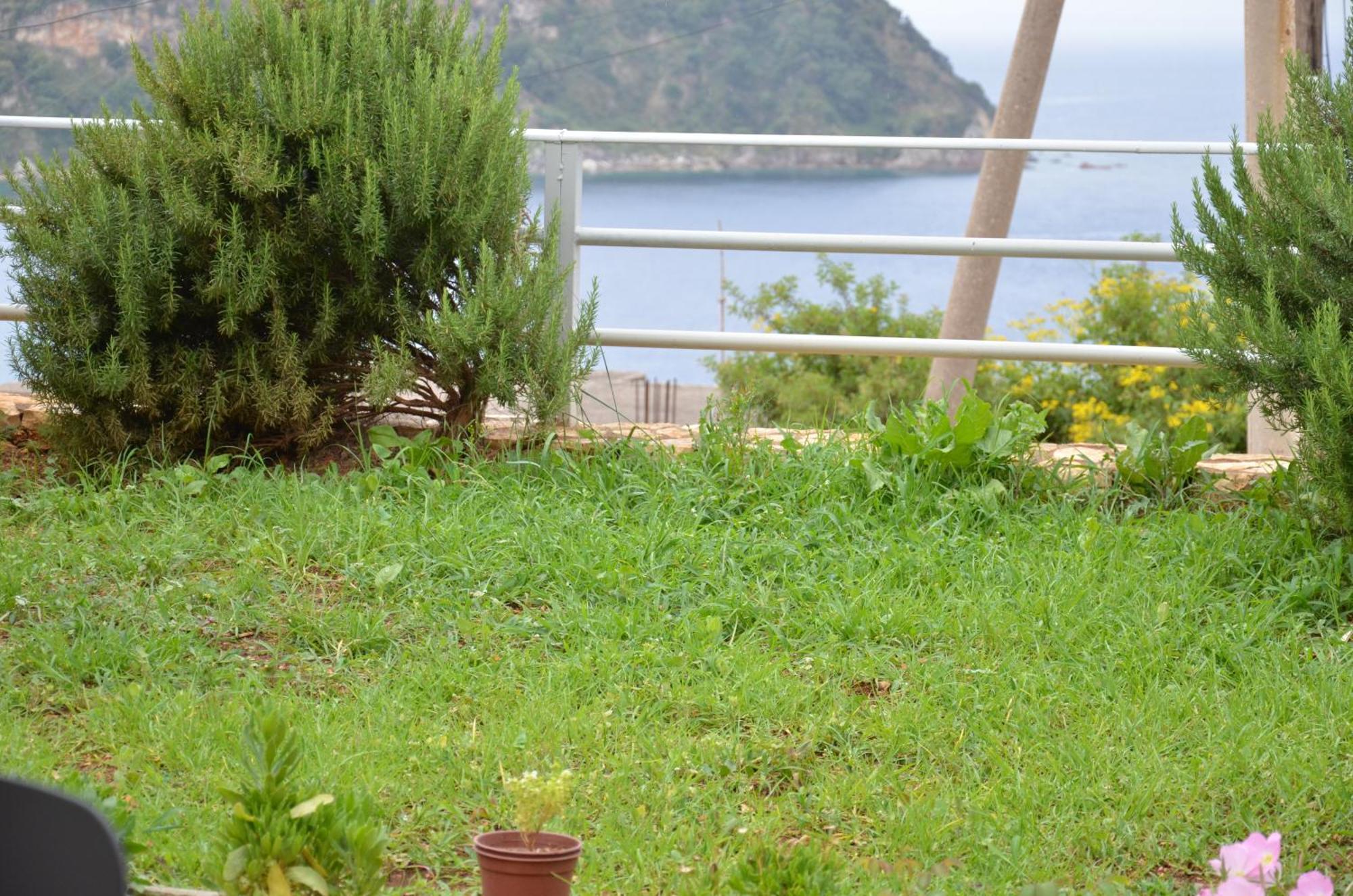 Harmonia Guest House 2 ฮีมาเรอ ภายนอก รูปภาพ